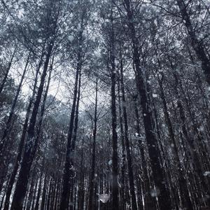 骚逼被无情中出
